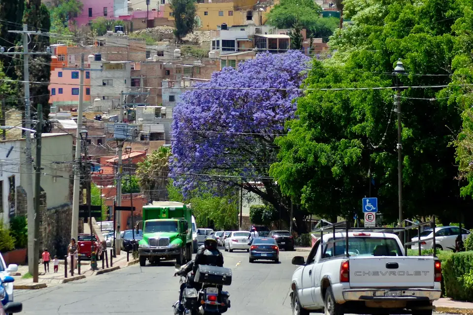 Calle en ladera de una ciudad andina, con autos circulando, una camioneta detenida y un jacarandá en flor